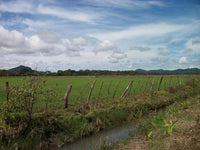 Agricultural Investor Opportunity thumbnail