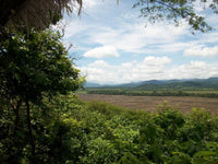 Agricultural Investor Opportunity thumbnail