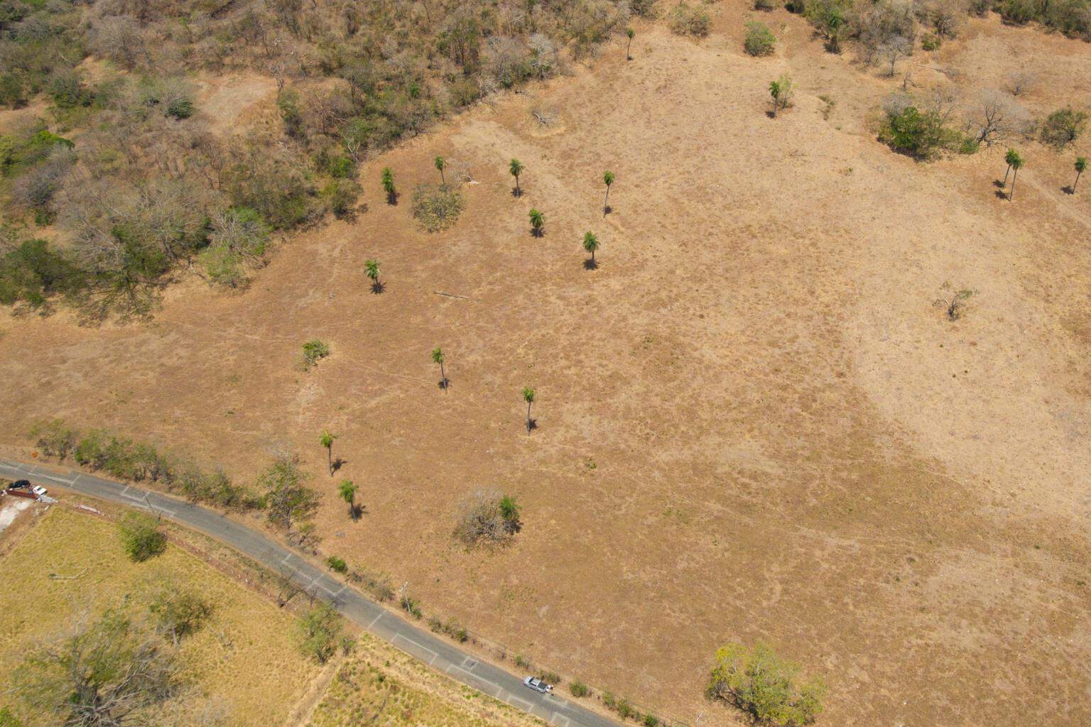 Finca Mireya
