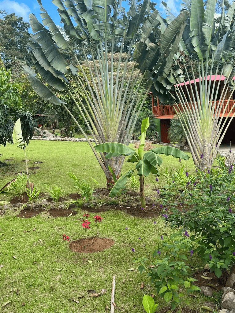 Hot Springs & Mineral River Lodge - 25 Hectares of Land Upala, Alajuela Province
