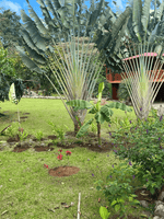 Hot Springs & Mineral River Lodge - 25 Hectares of Land Upala, Alajuela Province thumbnail