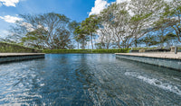 Casa Serena: Luxury Beachfront Home in Hacienda Pinilla thumbnail