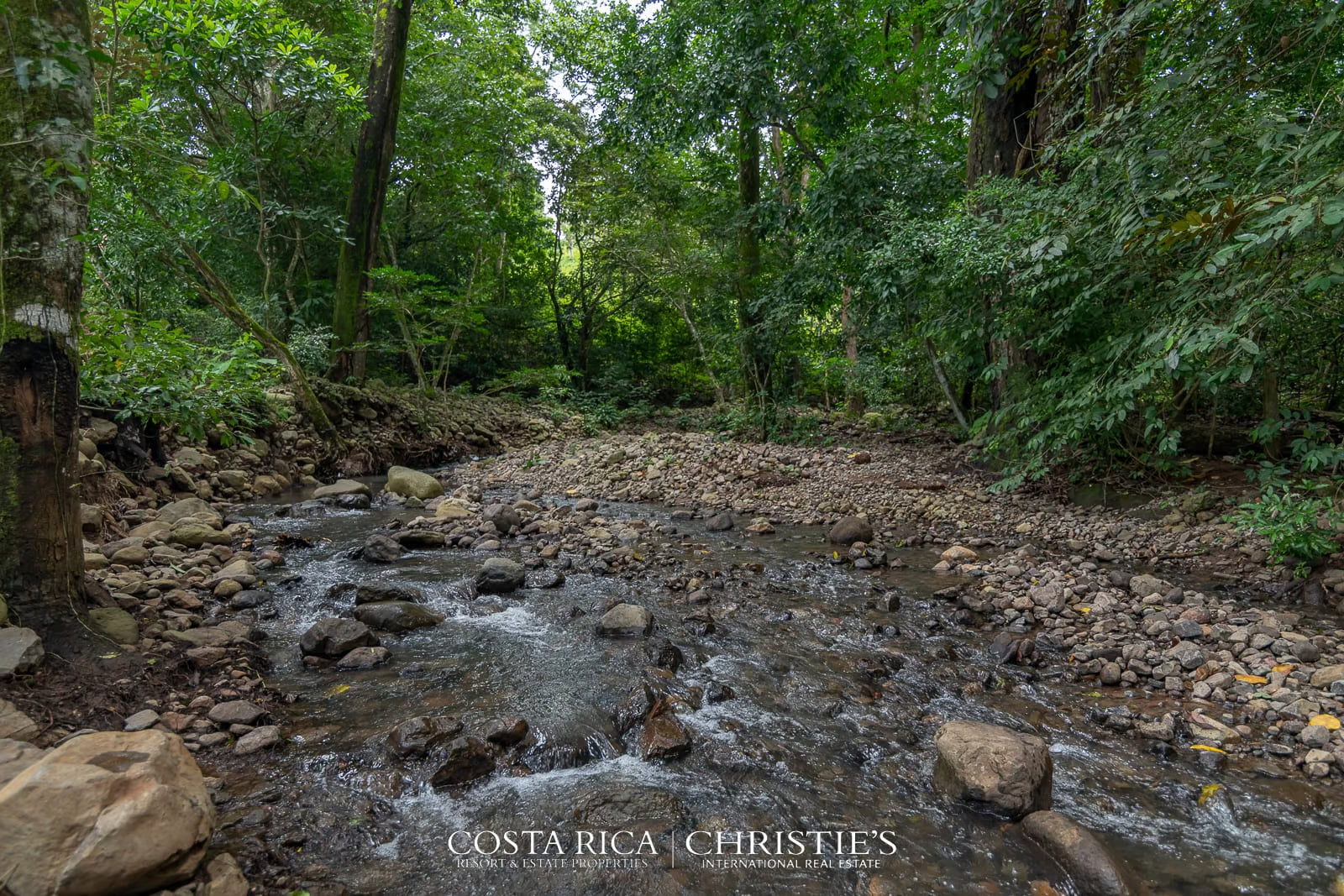 Amatierra: A Wellness Sanctuary and Eco-Retreat