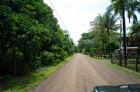 Pochotes Avellanas – Exceptional 3-Hectare (7.4-Acre) Development Site Near Avellanas Beach! thumbnail