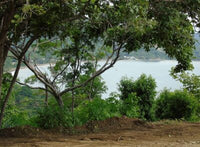 Lots at Vista Bahía thumbnail