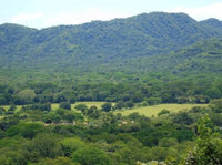 Lots at Vista Bahía thumbnail