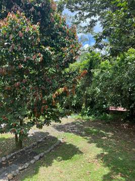 Hot Springs & Mineral River Lodge - 25 Hectares of Land Upala, Alajuela Province