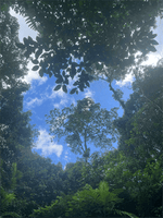 Hot Springs & Mineral River Lodge - 25 Hectares of Land Upala, Alajuela Province thumbnail