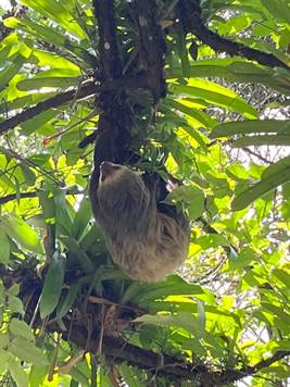 Hot Springs & Mineral River Lodge - 25 Hectares of Land Upala, Alajuela Province