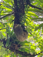 Hot Springs & Mineral River Lodge - 25 Hectares of Land Upala, Alajuela Province thumbnail