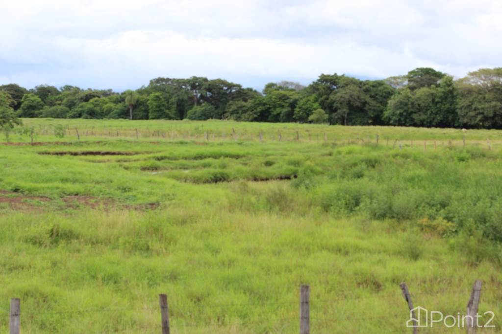 Large Farm by the Main Highway