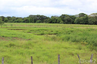 Large Farm by the Main Highway thumbnail
