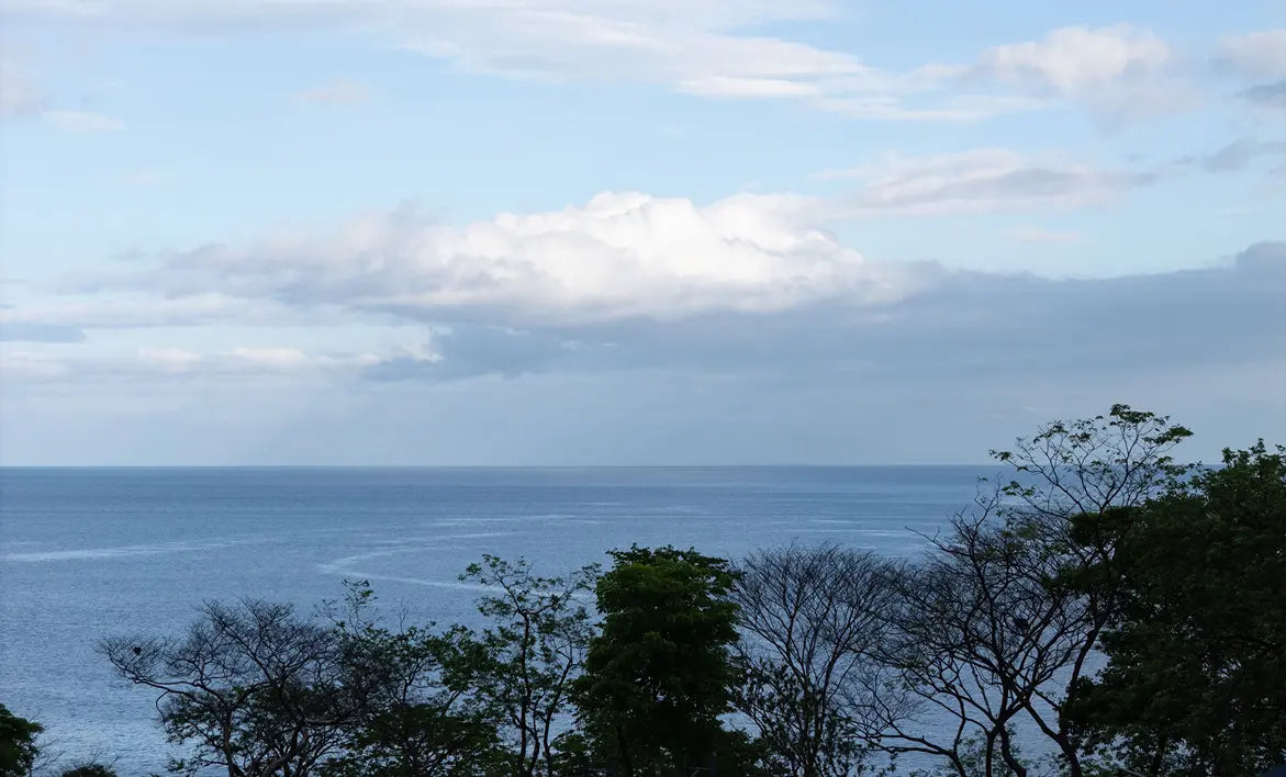 Estate Home 2 | Luxury Ocean-View Residence in Waldorf Astoria Costa Rica