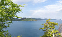 Estate Home 6 | Iconic Oceanfront Luxury Estate in Waldorf Astoria Costa Rica thumbnail