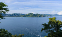 Estate Home 6 | Iconic Oceanfront Luxury Estate in Waldorf Astoria Costa Rica thumbnail