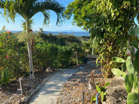 DEVELOPER'S DREAM LAND WITH PANORAMIC OCEAN VIEWS thumbnail