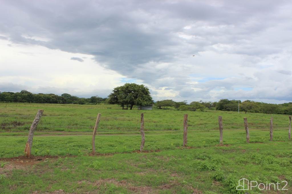 Large Farm by the Main Highway