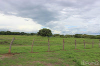 Large Farm by the Main Highway thumbnail