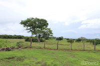 Large Farm by the Main Highway thumbnail