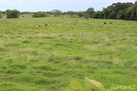 Large Farm by the Main Highway thumbnail