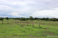 Large Farm by the Main Highway thumbnail