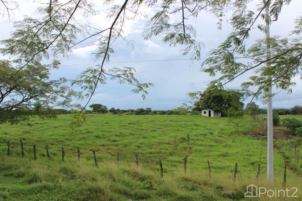 Large Farm by the Main Highway