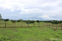 Large Farm by the Main Highway thumbnail