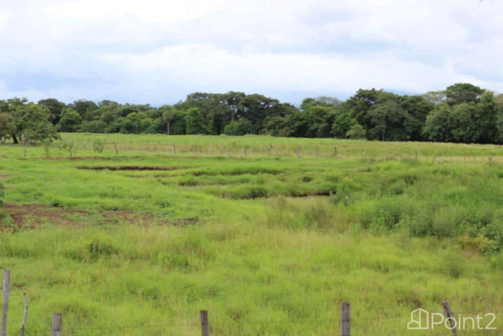 Large Farm by the Main Highway