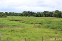 Large Farm by the Main Highway thumbnail
