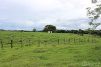 Large Farm by the Main Highway thumbnail