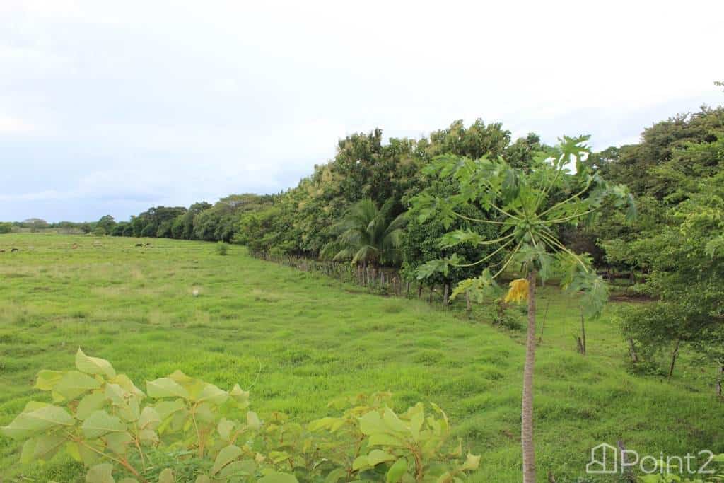 Large Farm by the Main Highway