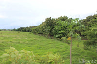 Large Farm by the Main Highway thumbnail